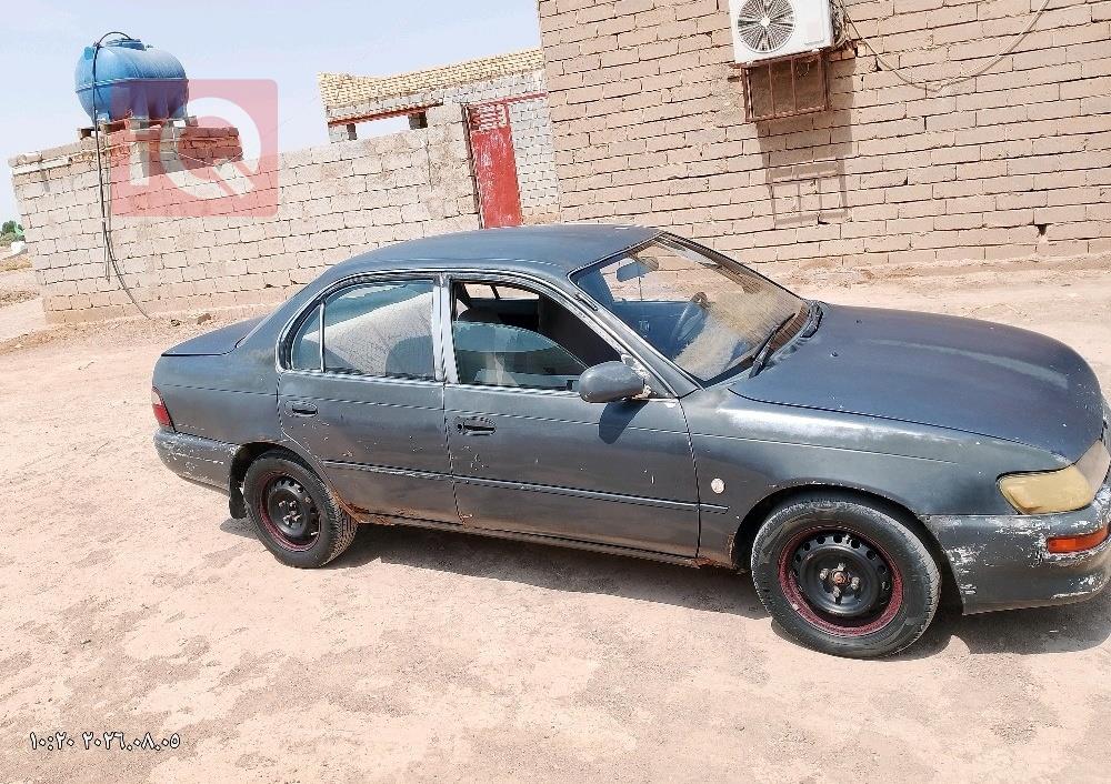 تويوتا كورولا